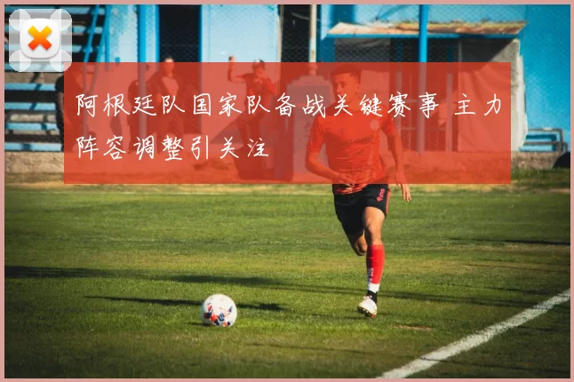 阿根廷队国家队备战关键赛事 主力阵容调整引关注