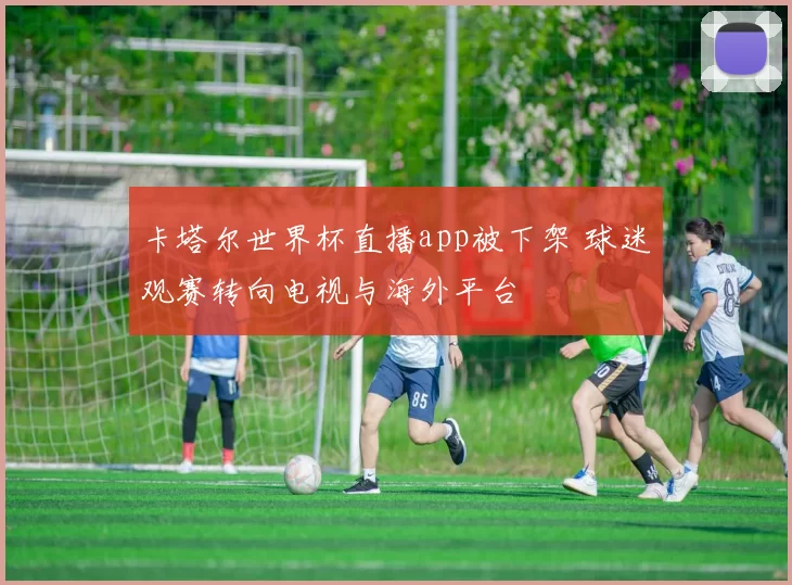 卡塔尔世界杯直播app被下架 球迷观赛转向电视与海外平台