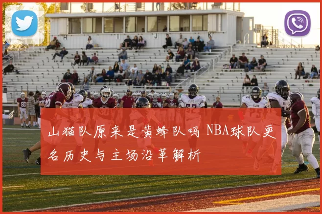 山猫队原来是黄蜂队吗 NBA球队更名历史与主场沿革解析