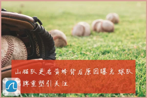 山猫队更名黄蜂背后原因曝光 球队品牌重塑引关注