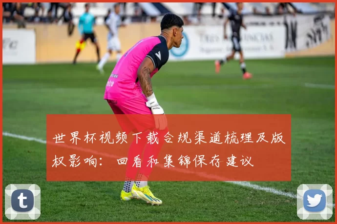 世界杯视频下载合规渠道梳理及版权影响：回看和集锦保存建议