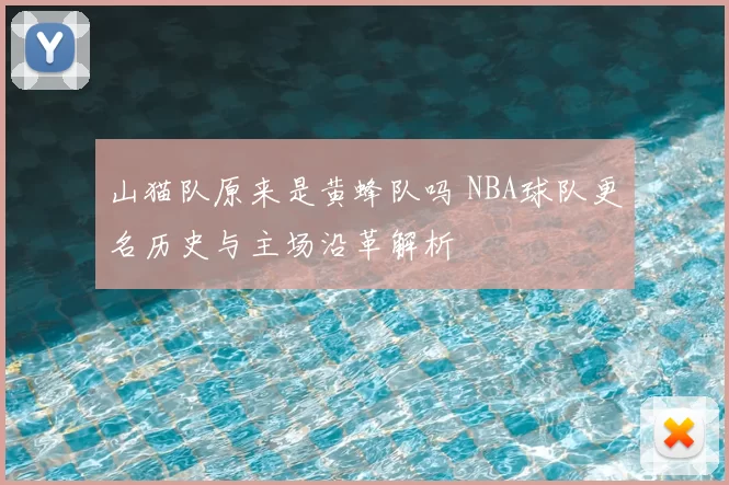 山猫队原来是黄蜂队吗 NBA球队更名历史与主场沿革解析