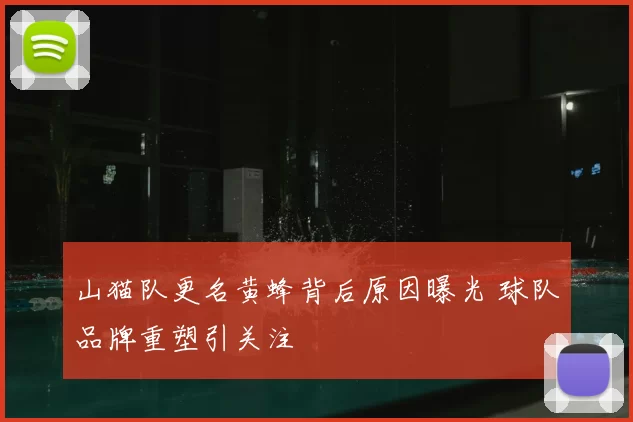 山猫队更名黄蜂背后原因曝光 球队品牌重塑引关注