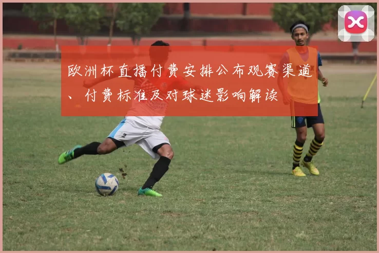 欧洲杯直播付费安排公布观赛渠道、付费标准及对球迷影响解读