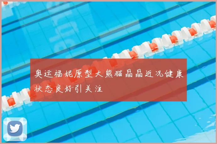 奥运福妮原型大熊猫晶晶近况健康状态良好引关注