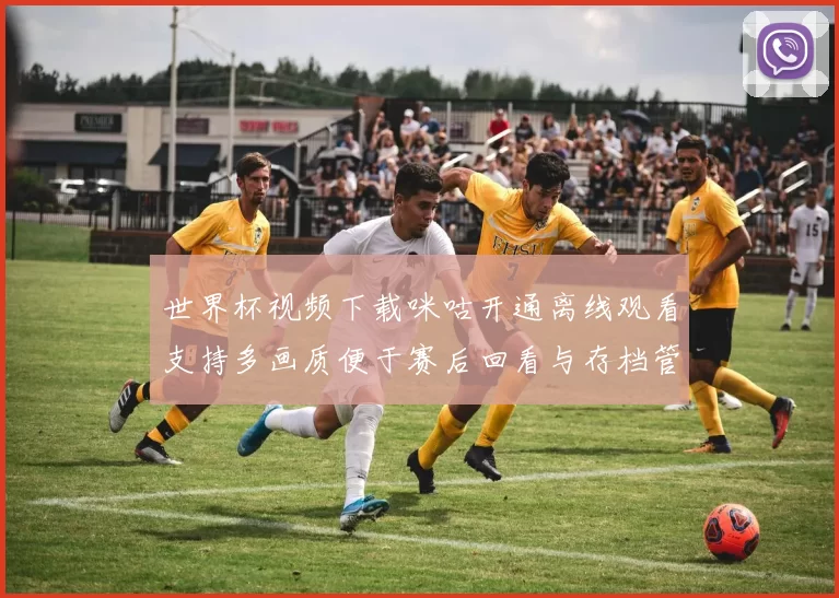 世界杯视频下载咪咕开通离线观看支持多画质便于赛后回看与存档管理