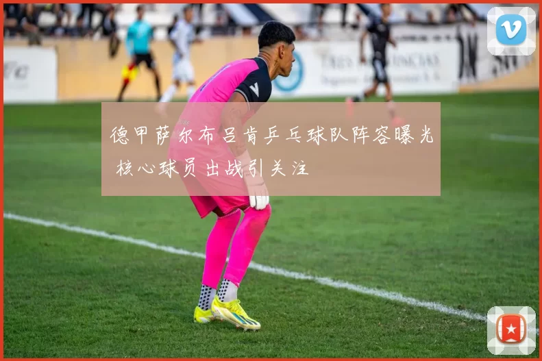 德甲萨尔布吕肯乒乓球队阵容曝光 核心球员出战引关注