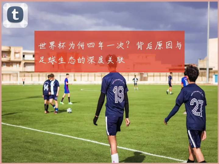 世界杯为何四年一次？背后原因与足球生态的深度关联