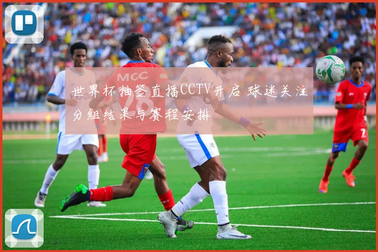 世界杯抽签直播CCTV开启 球迷关注分组结果与赛程安排