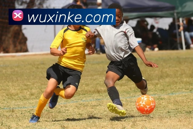 华体育app官网登录入口 - 华体育(中国)发展历程